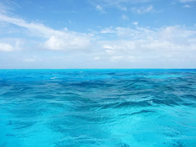 大海